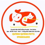 Quỳnh Quỳnh Pets